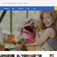 Портфолио Crowdfunding Script